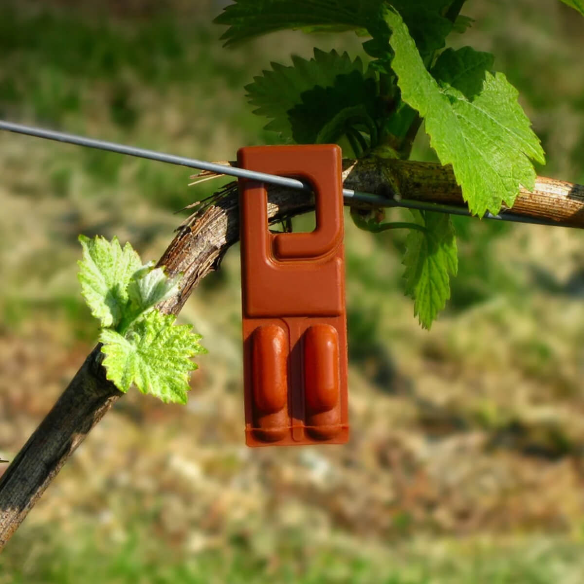 Plastic chemical container suspended by a cable outdoors.